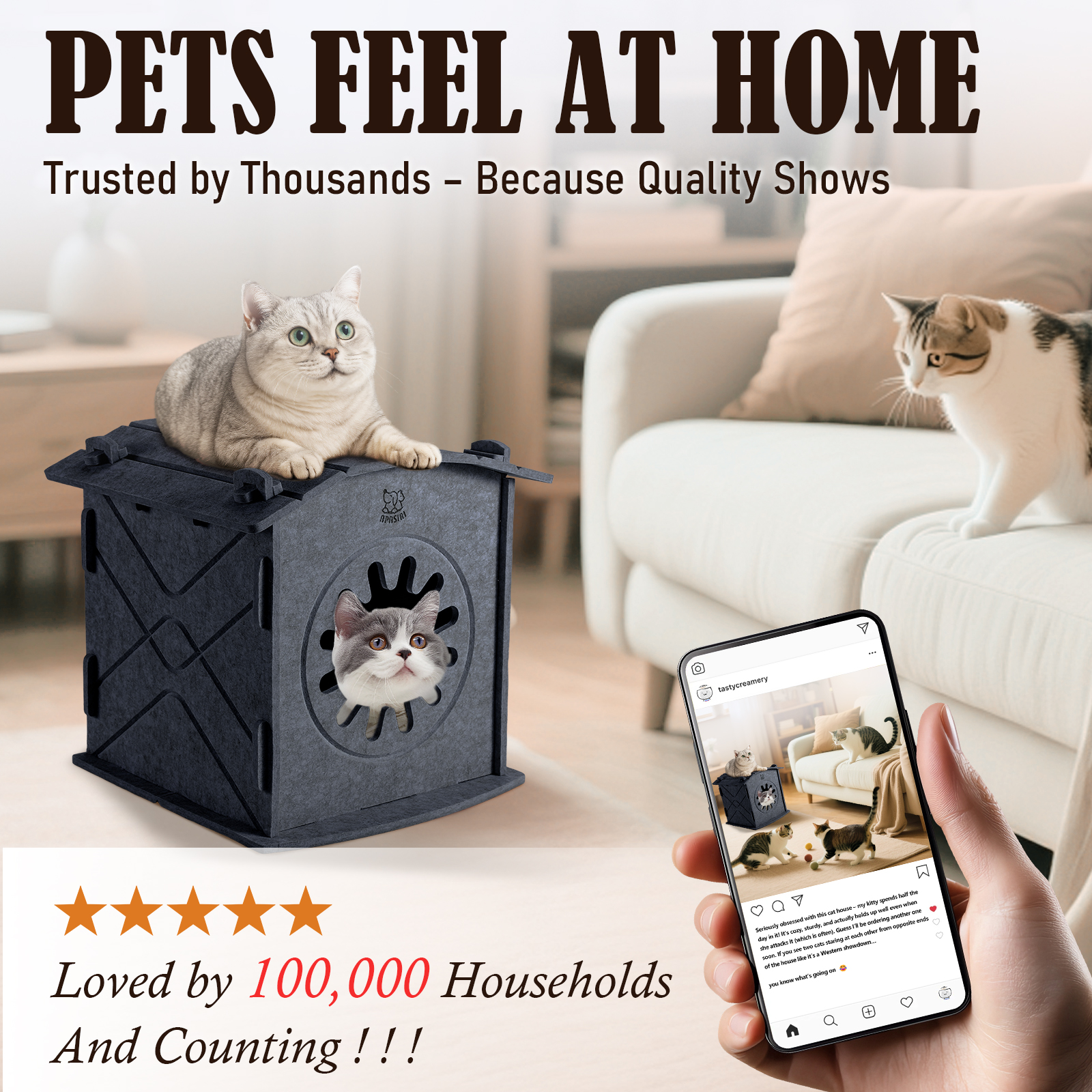 Cat Houses for Indoor Cats: Apasiri Felt Cat House Cave Cathouse