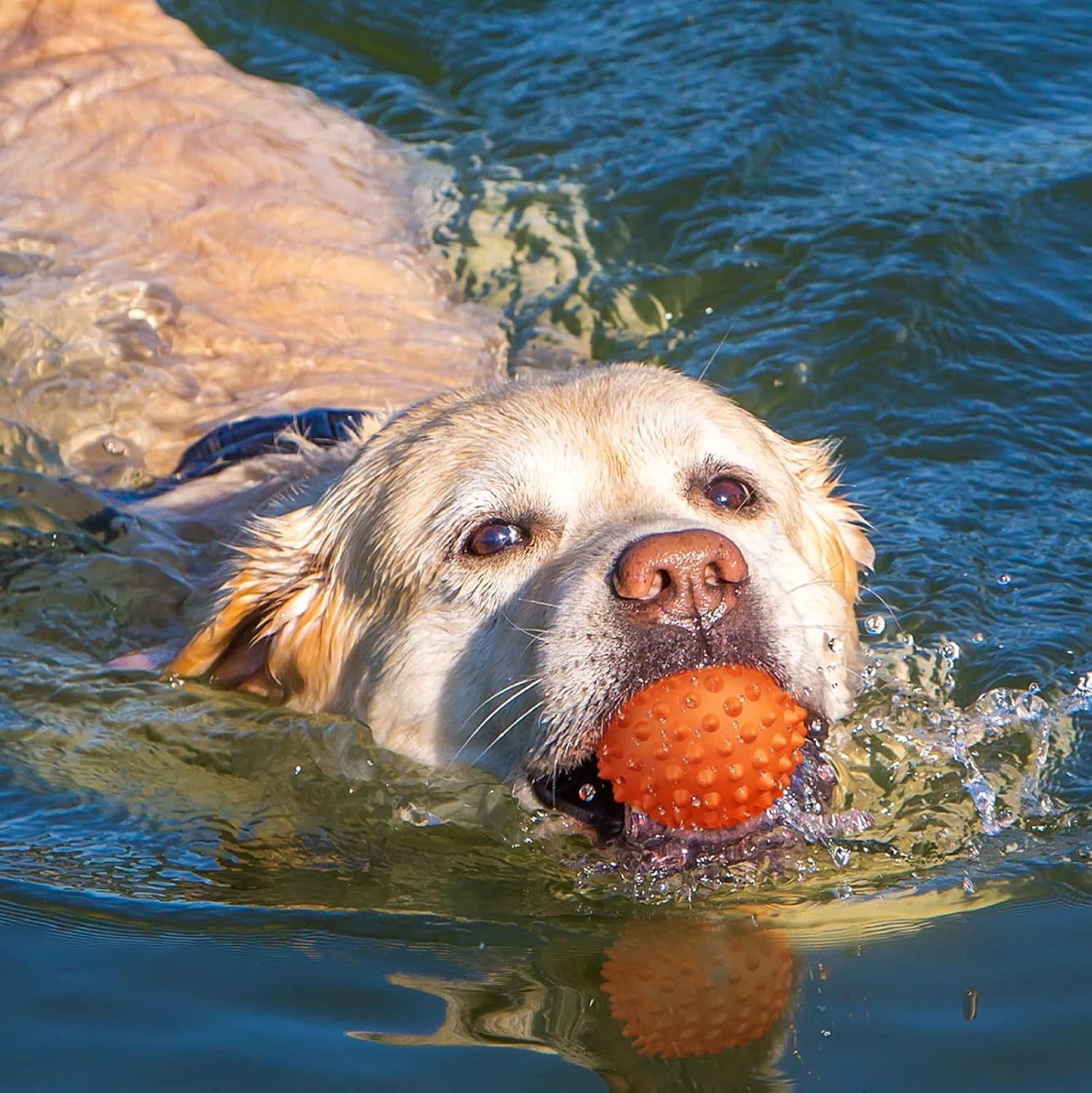 Apasiri Dog Balls for Aggressive Chewers, Dog Toys for Aggressive Chewers ：Butter 2 Pack