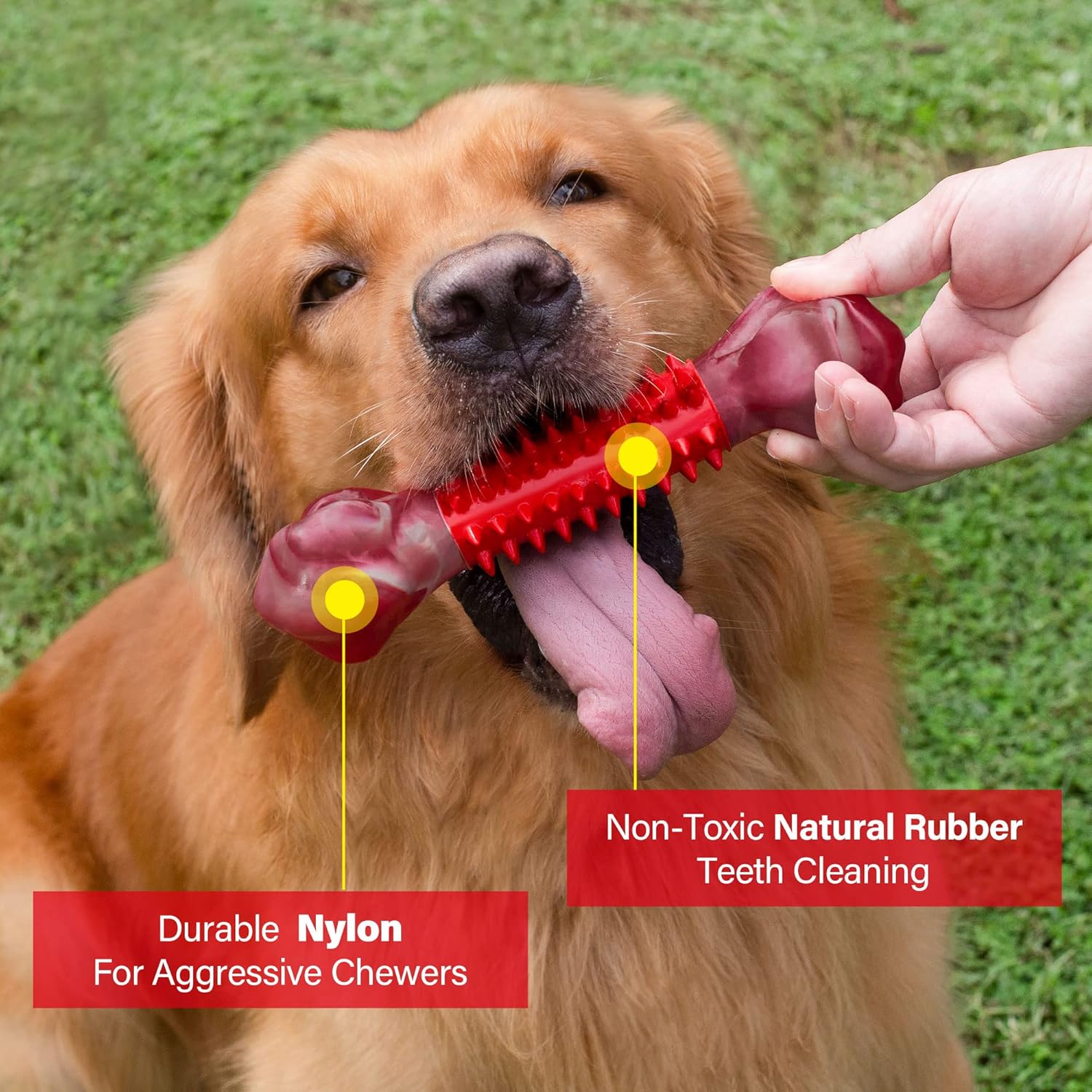 Apasiri Tough Dog Toys for Aggressive Chewers Large Breed, Beef Flavor Dog Chew Bone, Nylon & Rubber Chew Toy for Medium Large Dogs