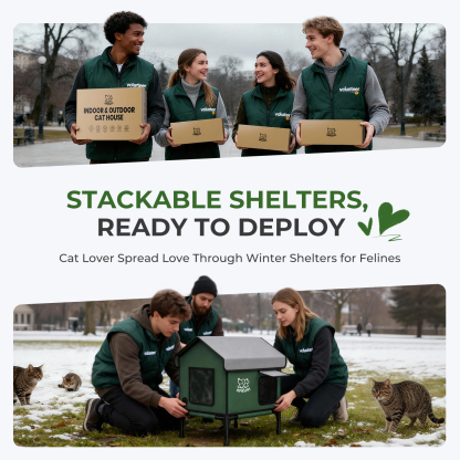 Apasiri Heated Outdoor Cat House for Winter : Medium