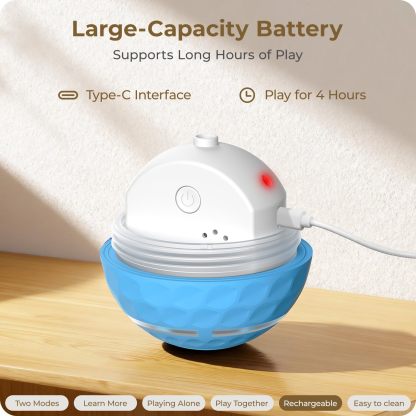 Apasiri Interactive Dog Toys: Automatic Moving Dog Balls with LED Lights