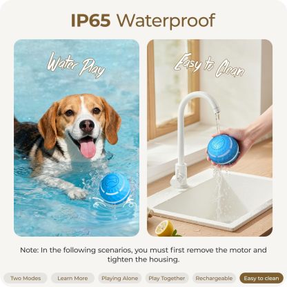 Apasiri Interactive Dog Toys: Automatic Moving Dog Balls with LED Lights