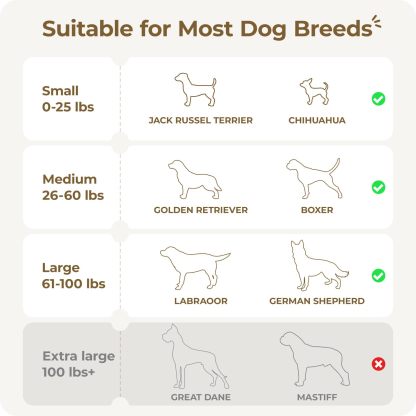 Apasiri Interactive Dog Toys: Automatic Moving Dog Balls with LED Lights