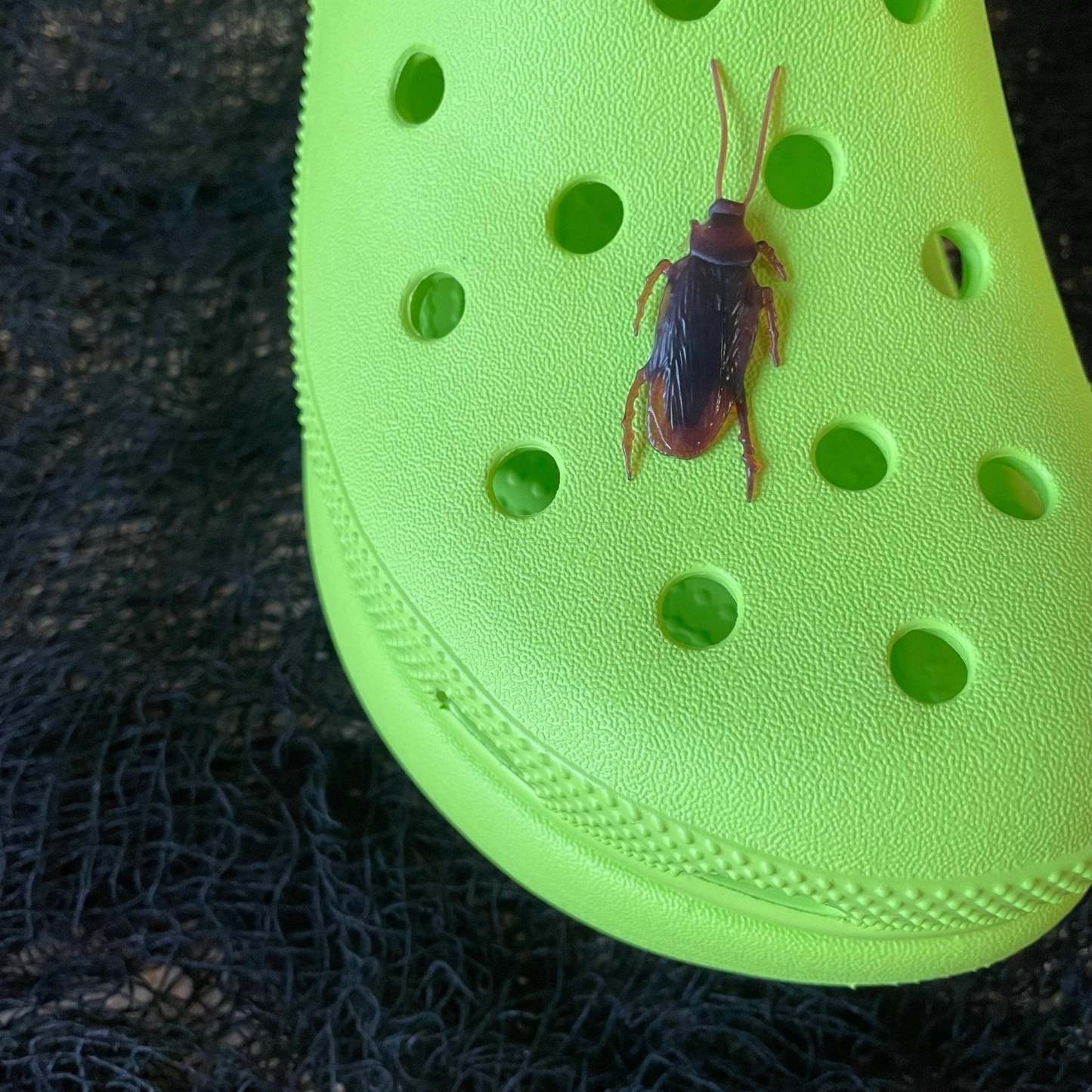 Croc Cockroach - 2 Pcs-Croc Lights®