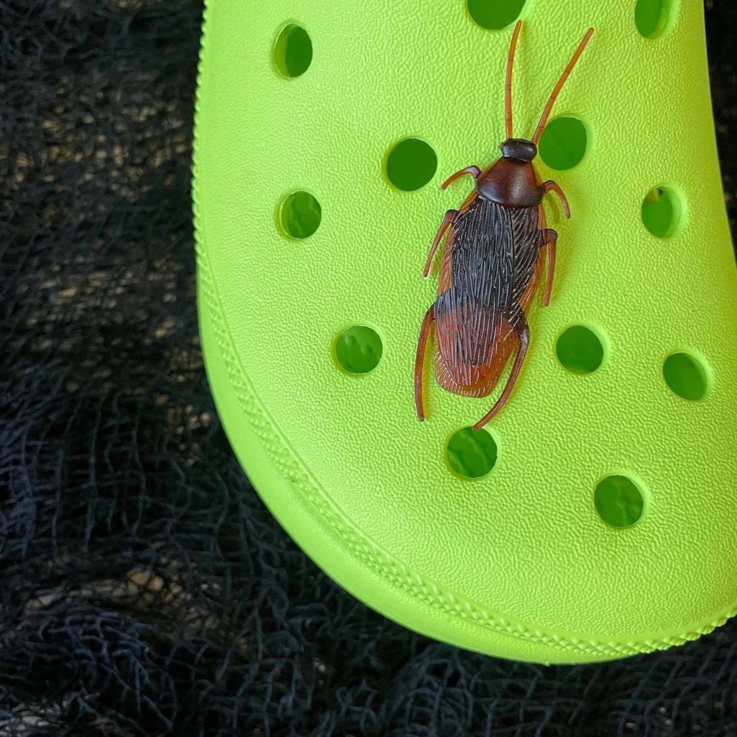 Croc Cockroach - 2 Pcs-Croc Lights®