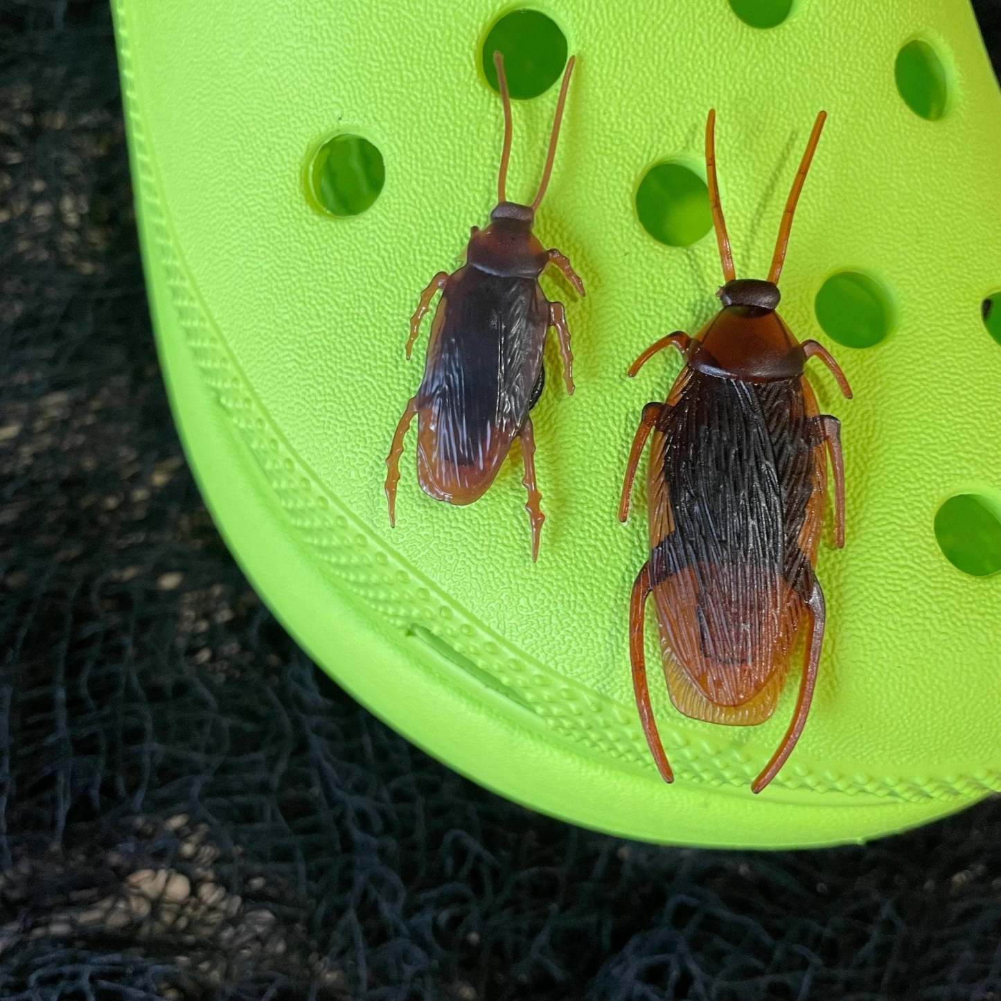 Croc Cockroach - 2 Pcs-Croc Lights®