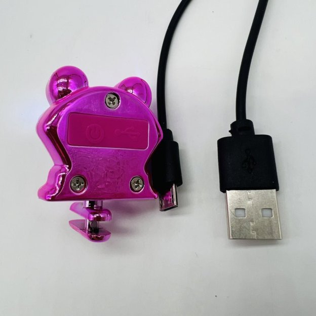 Frog Croc Lights - 2 Pcs - Croc Lights