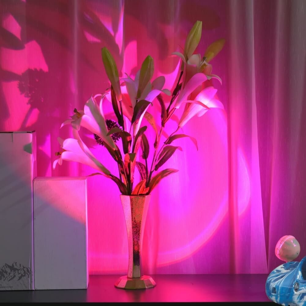 Sunset Croc Lights - 7 Color - 2 Pcs-Croc Lights®