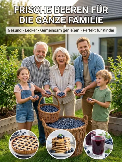 Premium Mosel XXL Blaubeerstrauch | 10kg Ernte | Winterhart bis -30 Grad | Bio Balkonpflanze 🫐🌿