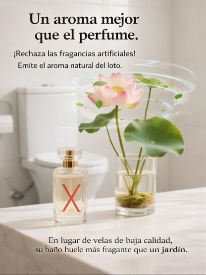 Premium Wasser-Lotosblume | Ohne Erde züchten | Natürlicher Raumduft | 200 Tage Blüte 🌸💦