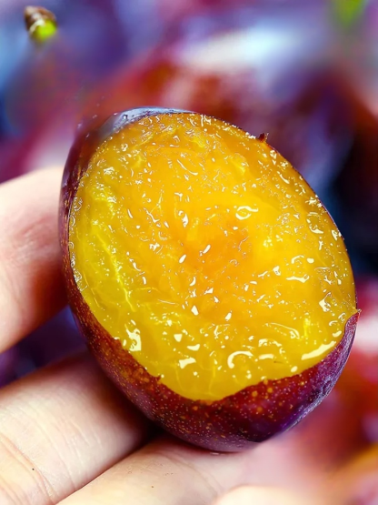 【✨️Fördert die Verdauung und reduziert Bauchfett】Blue Honey Goddess Prune Seeds