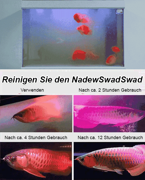 【✨️Fischpflege-Wunder】Aquarien-Polymer-Wasserreinigungstablette