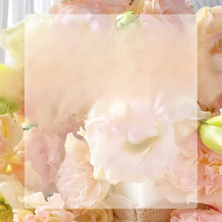 【✨️Begrenzter Zeitraum Sonderpreis】Premium Platycodon grandiflorus Samen