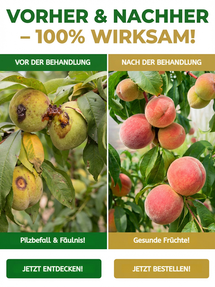 Profi Bio Pflanzenschutz Konzentrat | 1000g für 1000L Schutz | 100% Bienenfreundlich ️