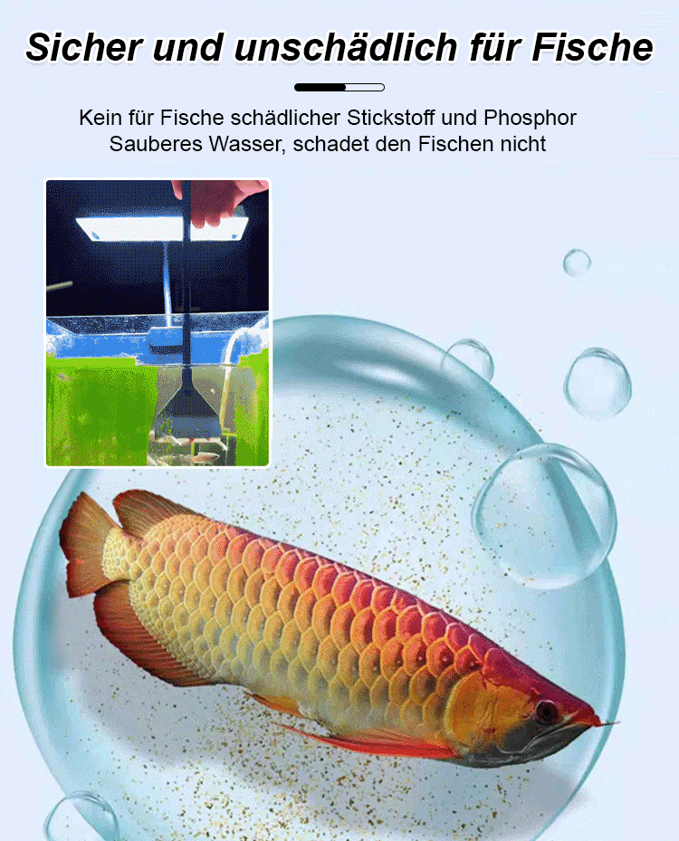 【✨️Fischpflege-Wunder】Aquarien-Polymer-Wasserreinigungstablette