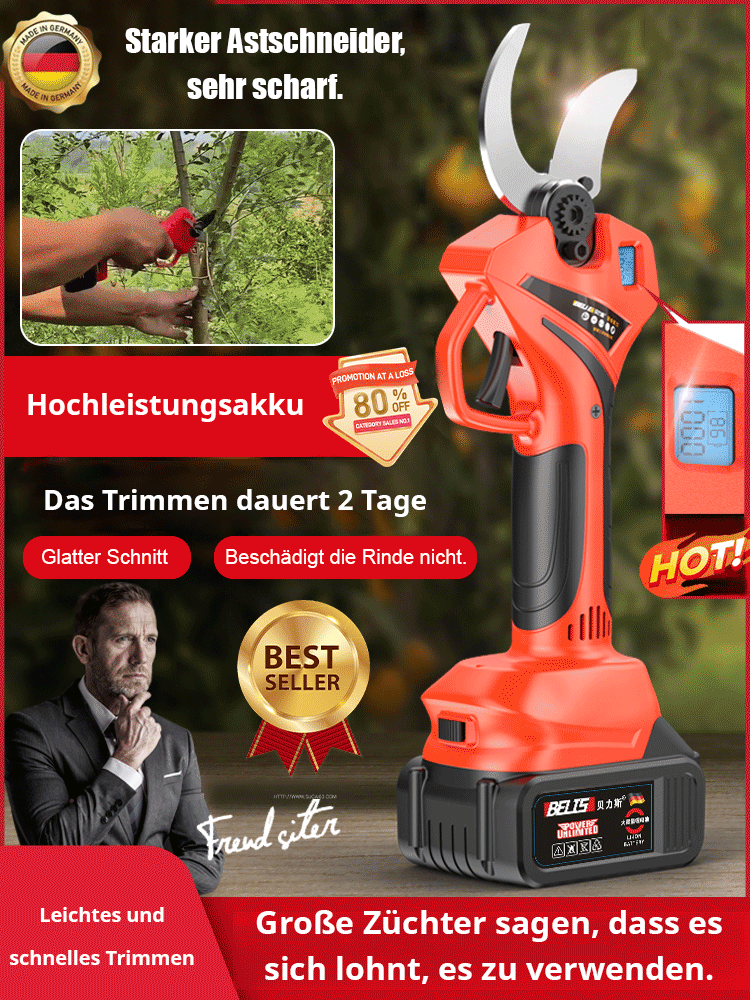 【✨️Begrenzter Zeitraum Sonderpreis】Gartenschere mit Lithiumbatterie