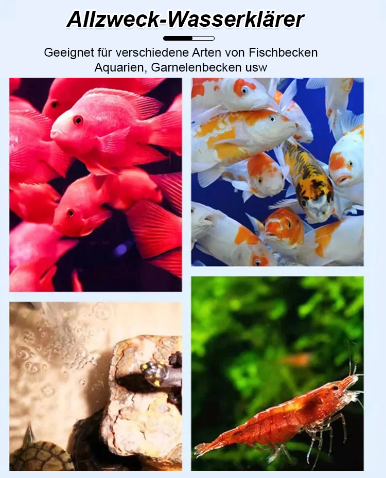 【✨️Fischpflege-Wunder】Aquarien-Polymer-Wasserreinigungstablette