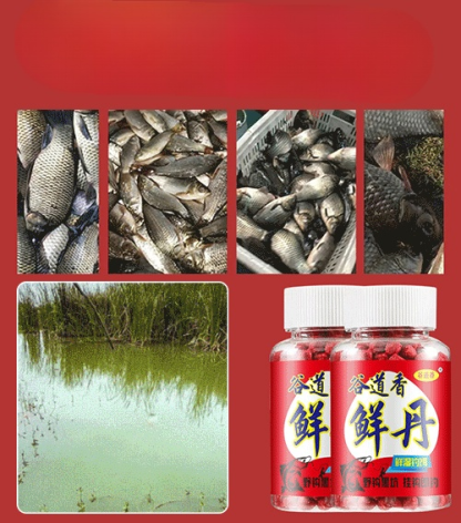 【✨️Artefakt der Fischerei】Frische Frikadellen