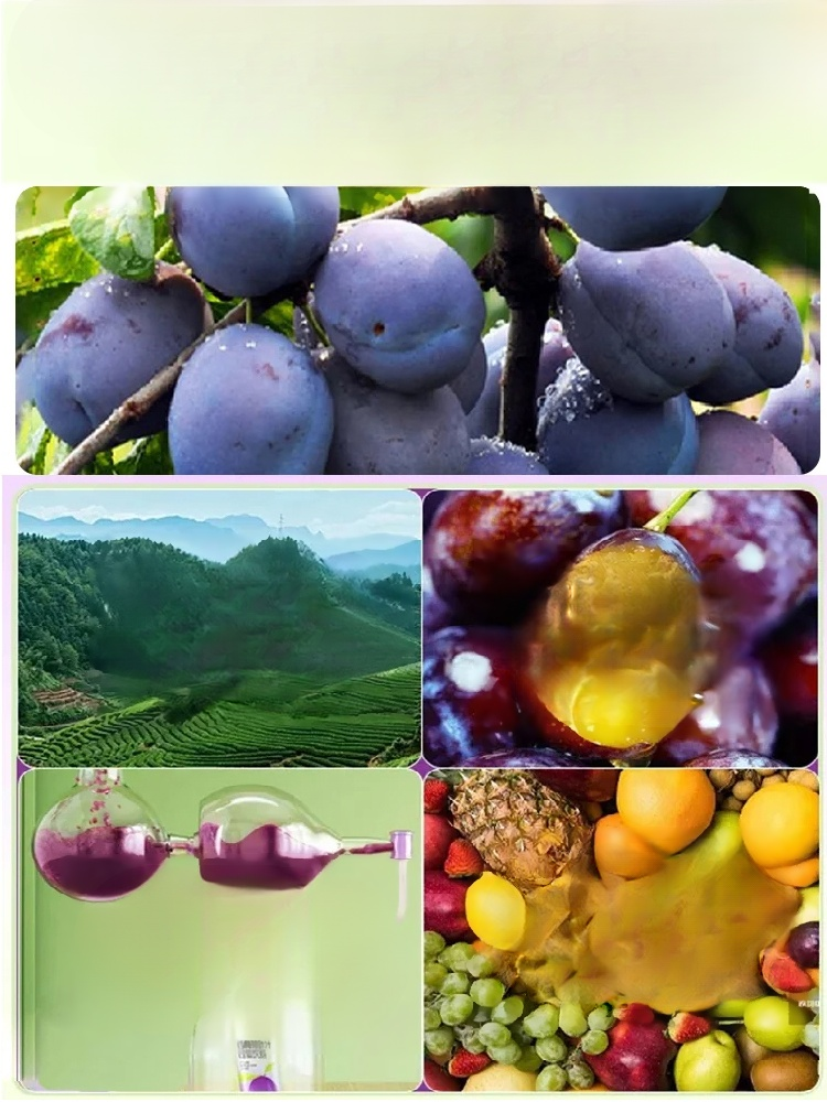 【✨️Fördert die Verdauung und reduziert Bauchfett】Blue Honey Goddess Prune Seeds