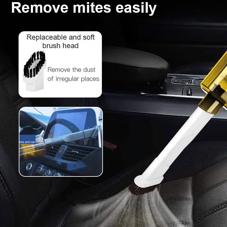  Multi-functional Wireless Mite Remover