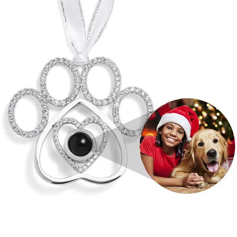 Boules de Noël Personnalisées avec Photo Projétée pour la Famille Patte