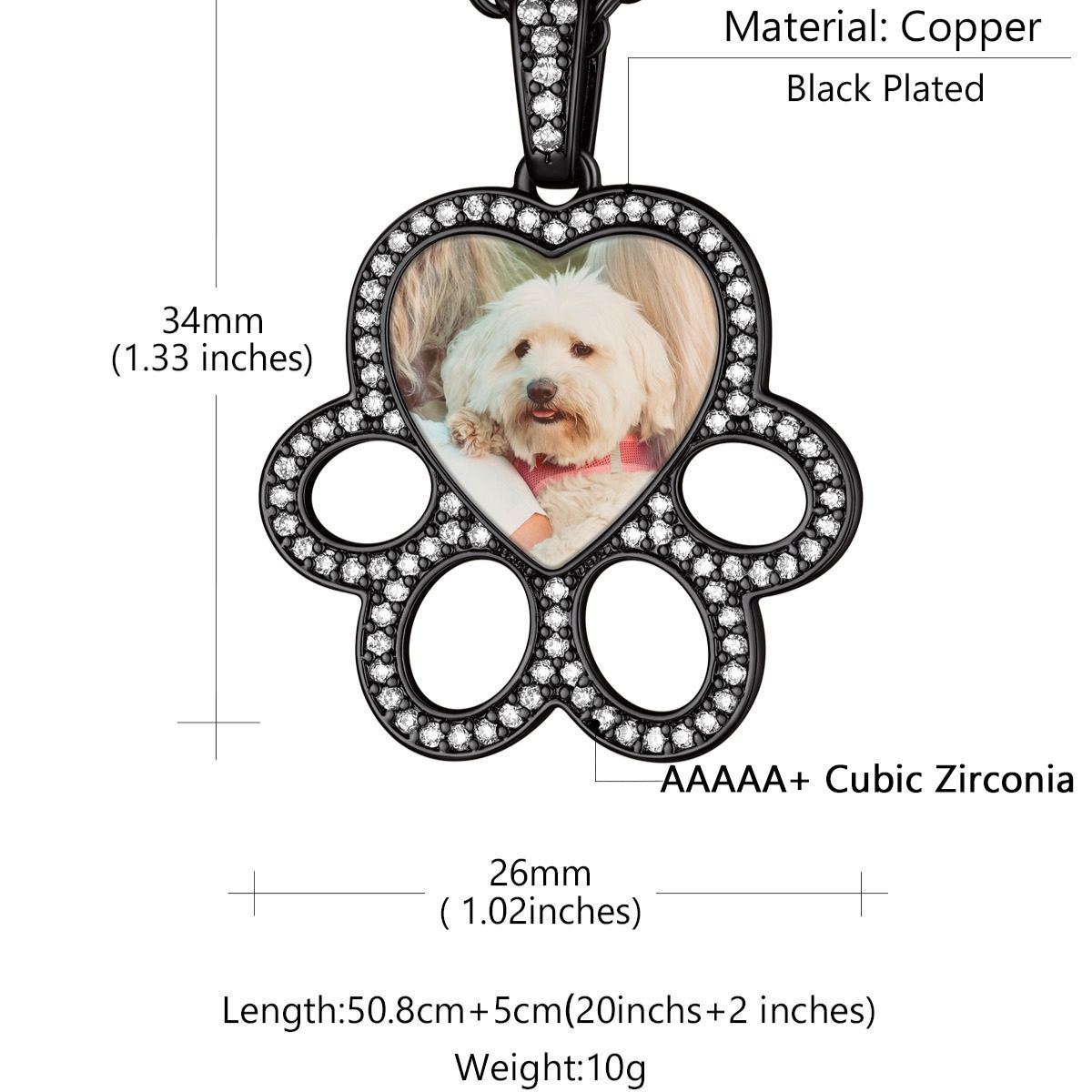 Collier Médaillon Photo Patte de Chien Personnalisé Taille