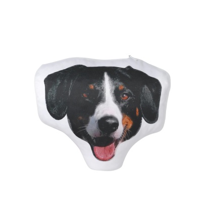 Coussin Photo Personnalisé dans un salon