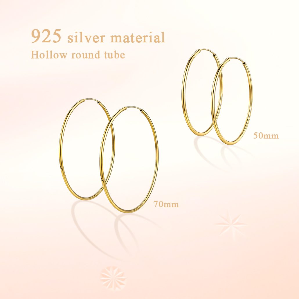 Boucles d'Oreilles Rondes en Argent Sterling 925