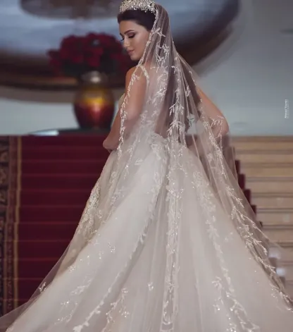 Chic Lace Long Mermaid V-Neck Tulle Wedding Dress with Detachable Train