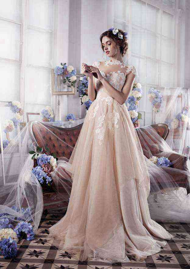 Charming Sweep Train Tulle Wedding Dress with Appliqued Details in A-Line/Princess Fit