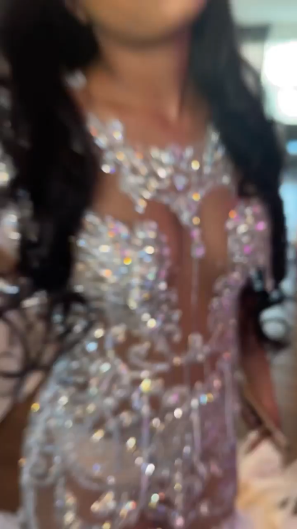 The Silver Swan - 2026 Silver Crystal Feather Illusion Mermaid Gown: Plunging V-Neckline with Sheer Bodice, Crystal Beadwork & White Feather Skirt