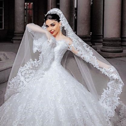 Elegant Beads Long Princess Appliques Wedding Dress with Sleeves Tulle