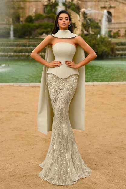 Strapless Sleeveless Long Mermaid Prom Dress With Appliques