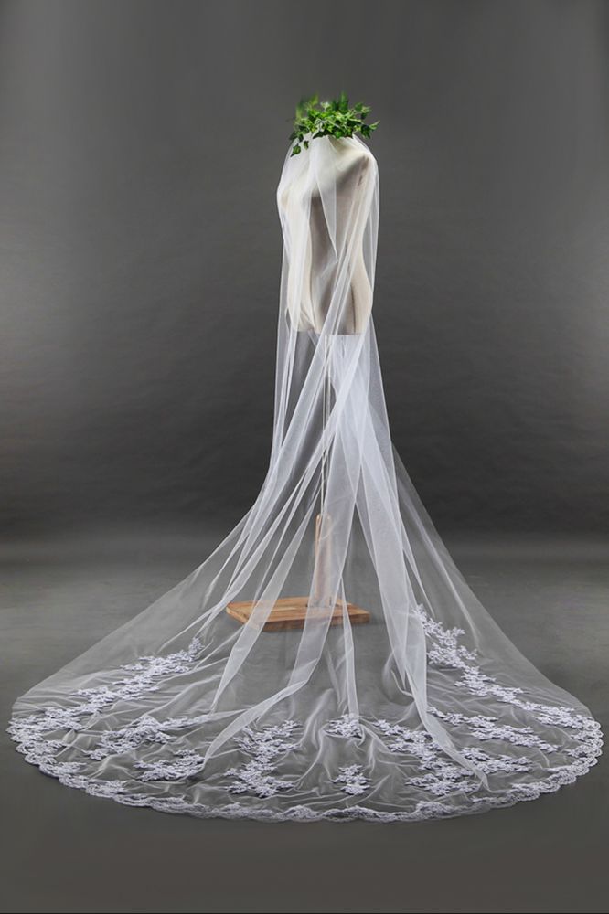 Elegant Cathedral Tulle Scalloped Edge 3*1.8M Wedding Veils with Appliques