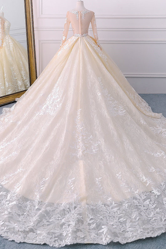 BMbridal Gorgeous Jewel Champagne Tulle Lace Wedding Dress Long Sleeves Appliques Bridal Gowns Online-BMbridal