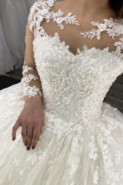 Chic Ball Gown Long Sleeves Sheer Tulle Wedding Dress with Appliques