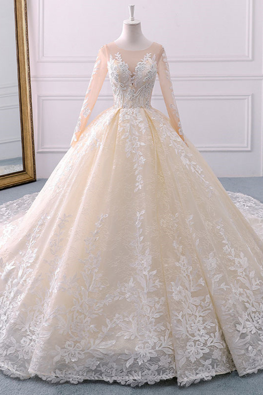 BMbridal Gorgeous Jewel Champagne Tulle Lace Wedding Dress Long Sleeves Appliques Bridal Gowns Online-BMbridal