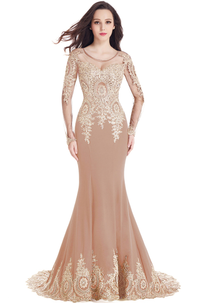 Gorgeous Long Sleeve Mermaid Evening Party Gowns With Lace Appliques