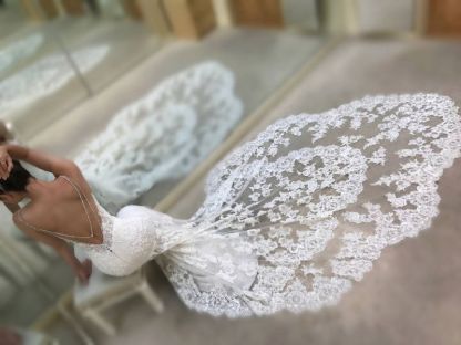 Spaghetti-Straps Mermaid Backless V-Neck Long Wedding Dress with Lace