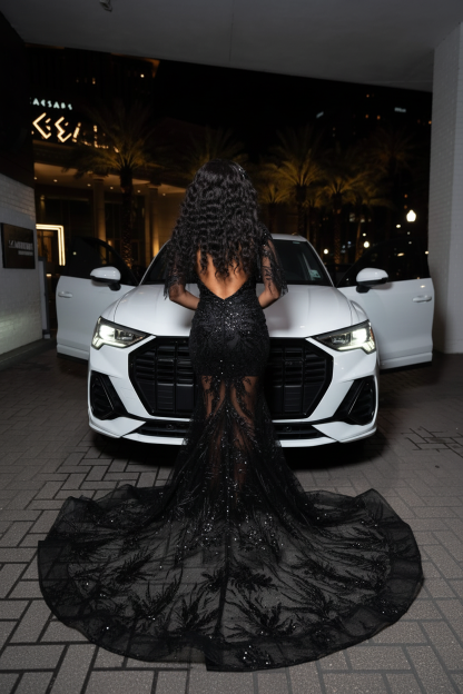 The Black Swan - Back View