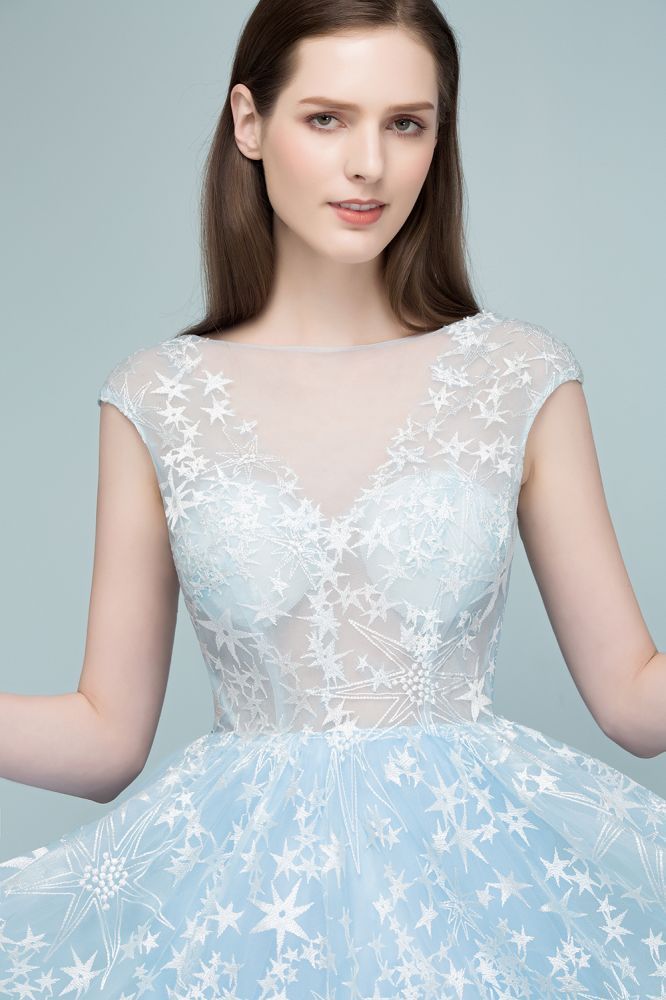 Long Appliqued Tulle A-line Cap Sleeves Prom Dresses-BMbridal