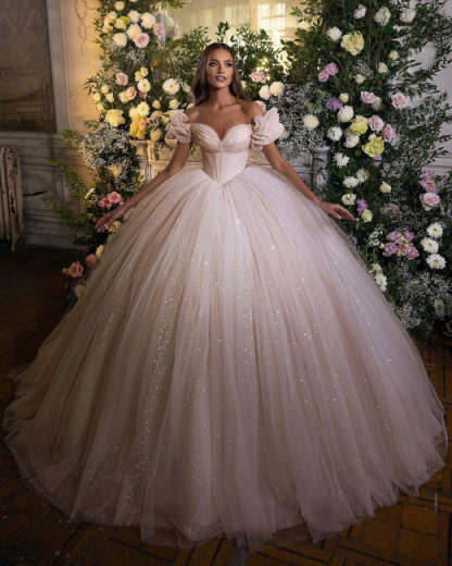Princess Luxury Wedding Dresses Glitter with Lace-BMbridal.com