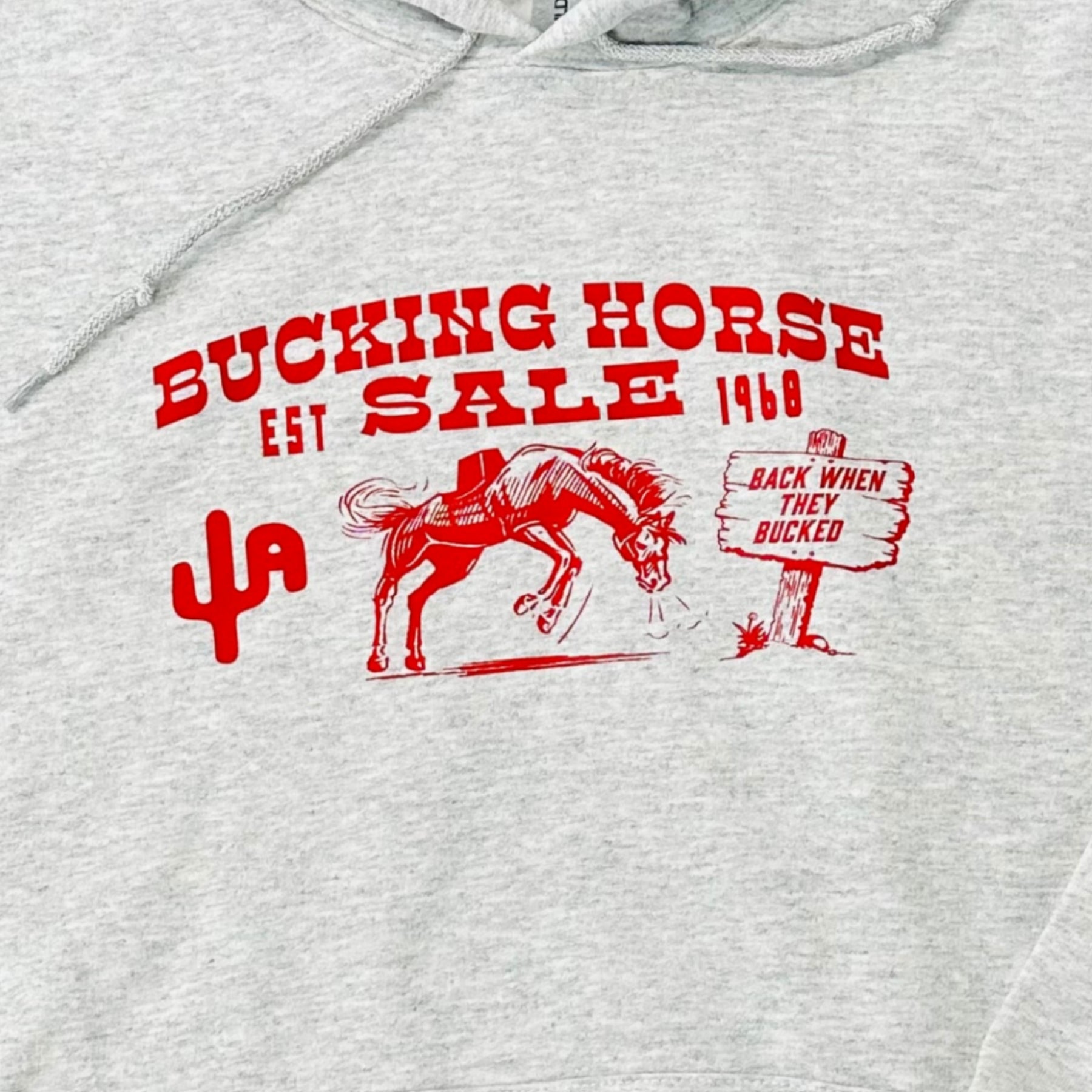 Bucking Horse