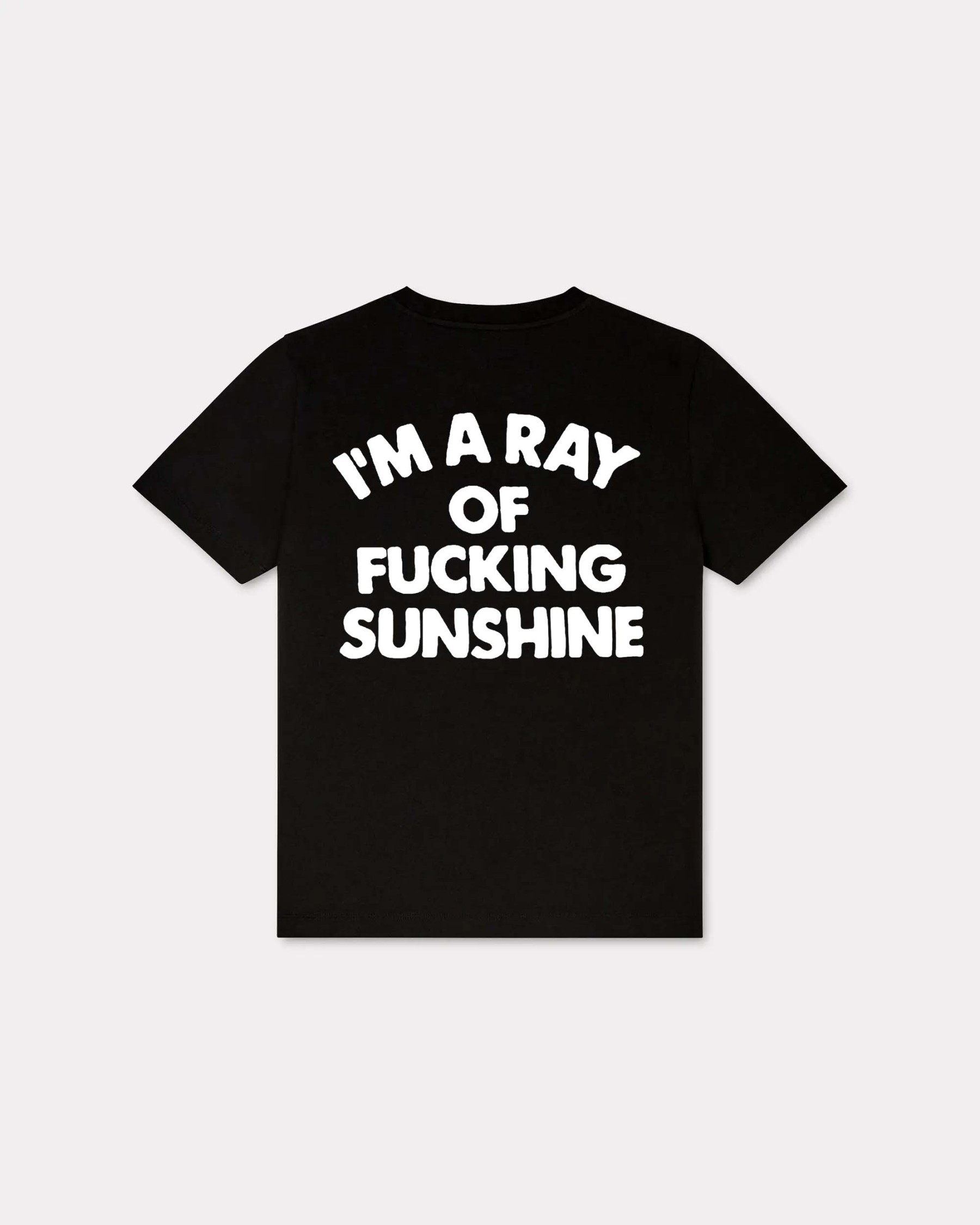I'm A Ray Of Fucking Sunshine T-shirt