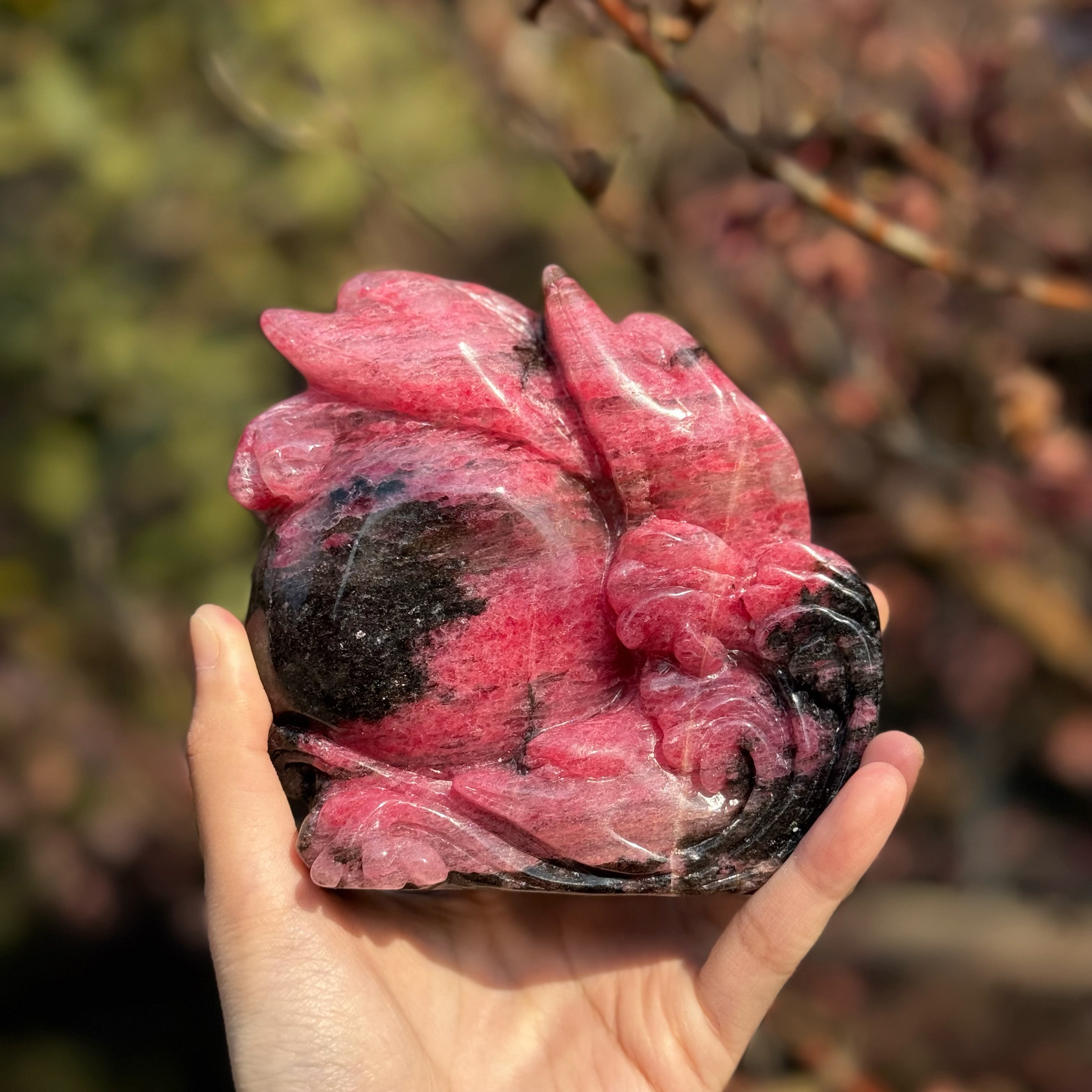 Rhodonite Dolphin