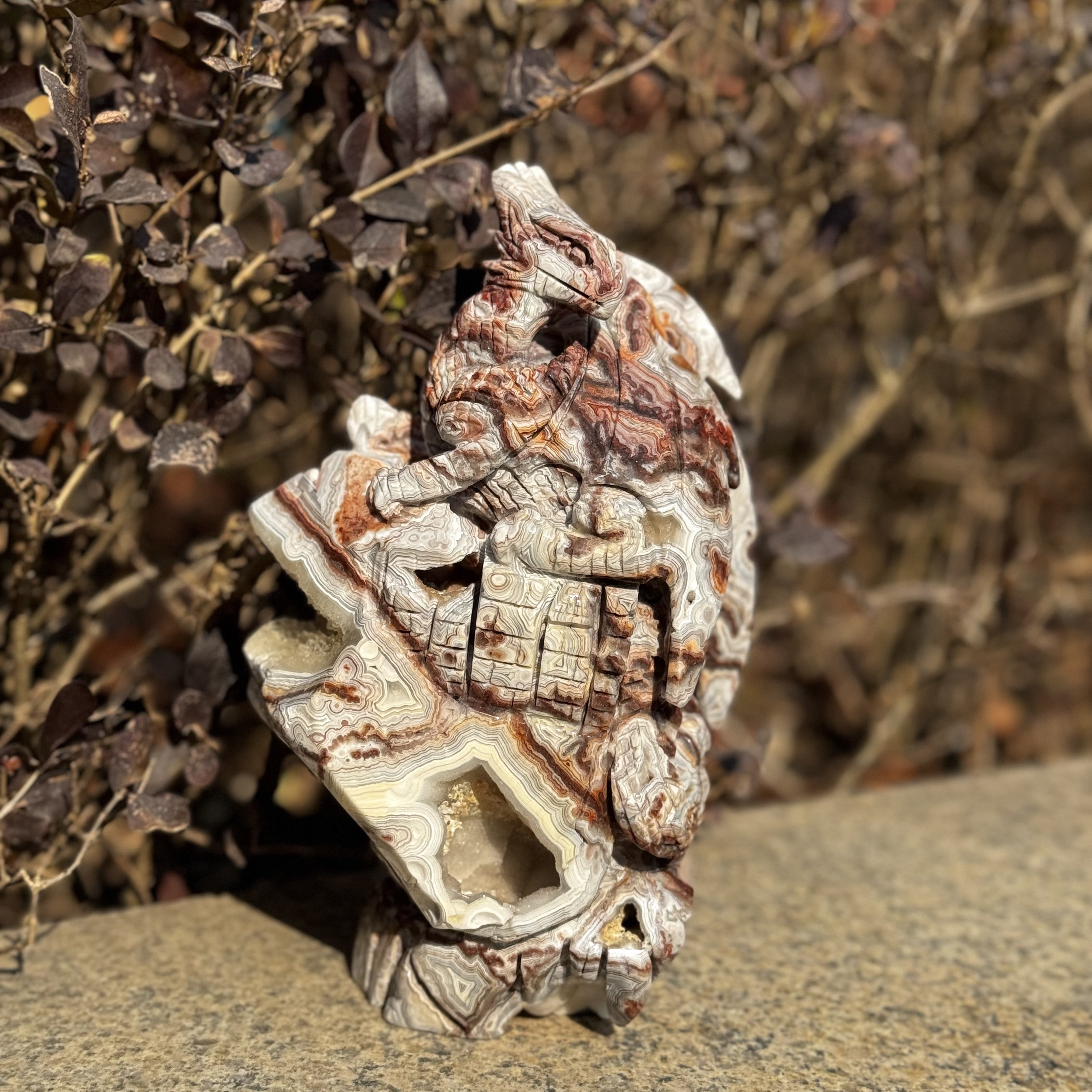 Mexican agate Dragon