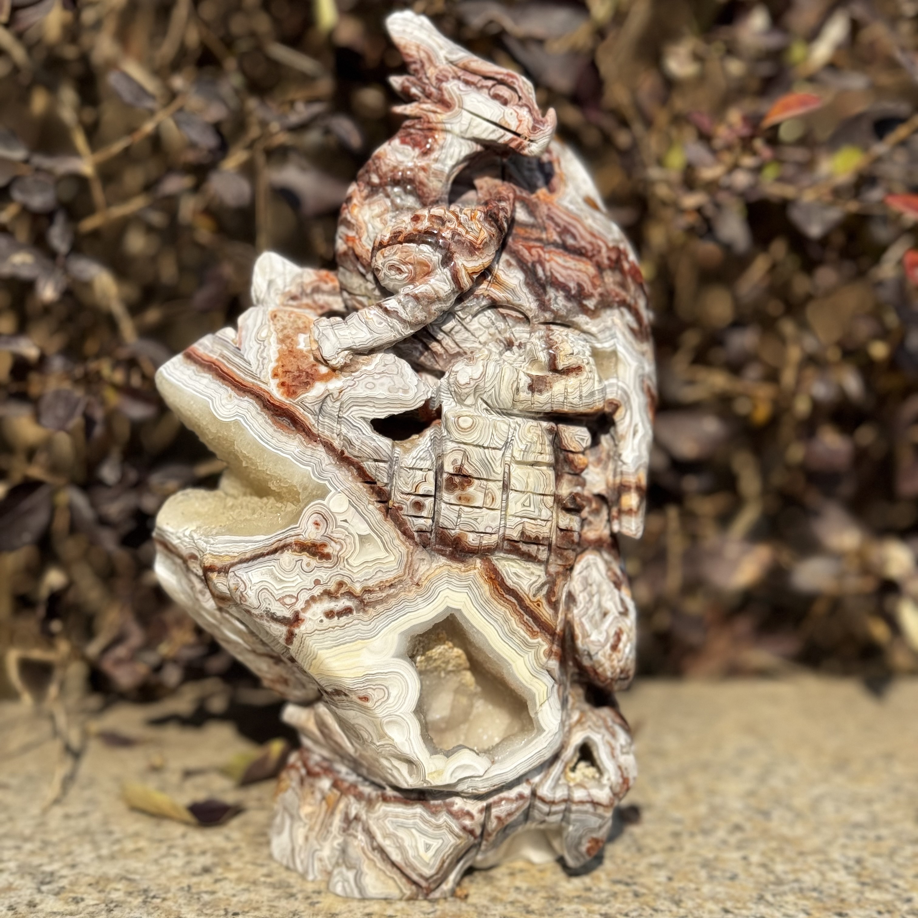 Mexican agate Dragon