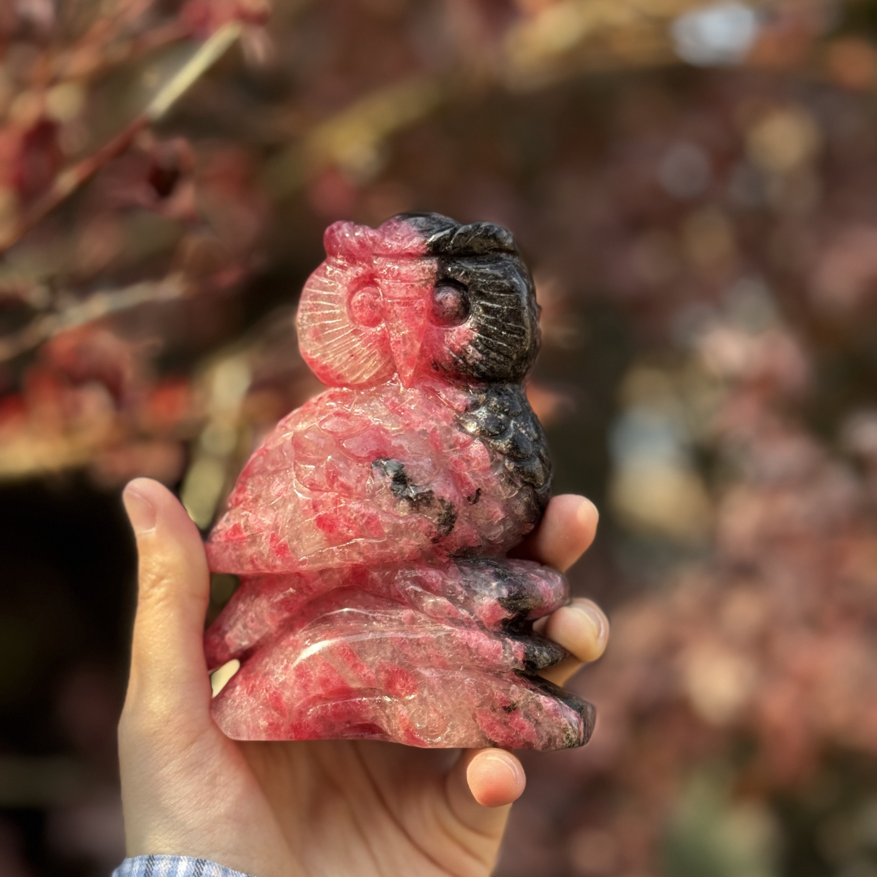 Charming Hand-carved Rhodonite Owl Figurine