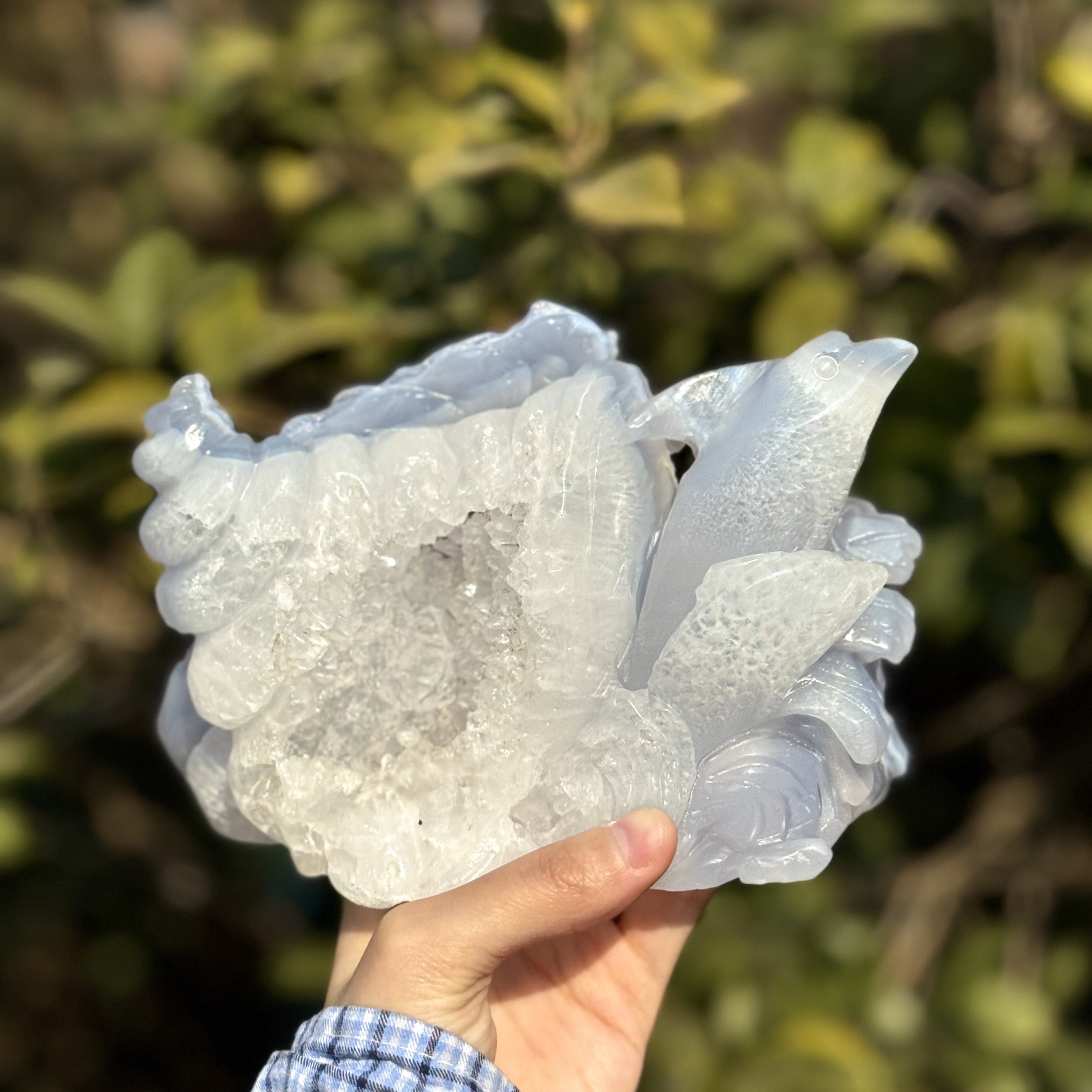 Blue Chalcedony Dolphin&Fish Carving