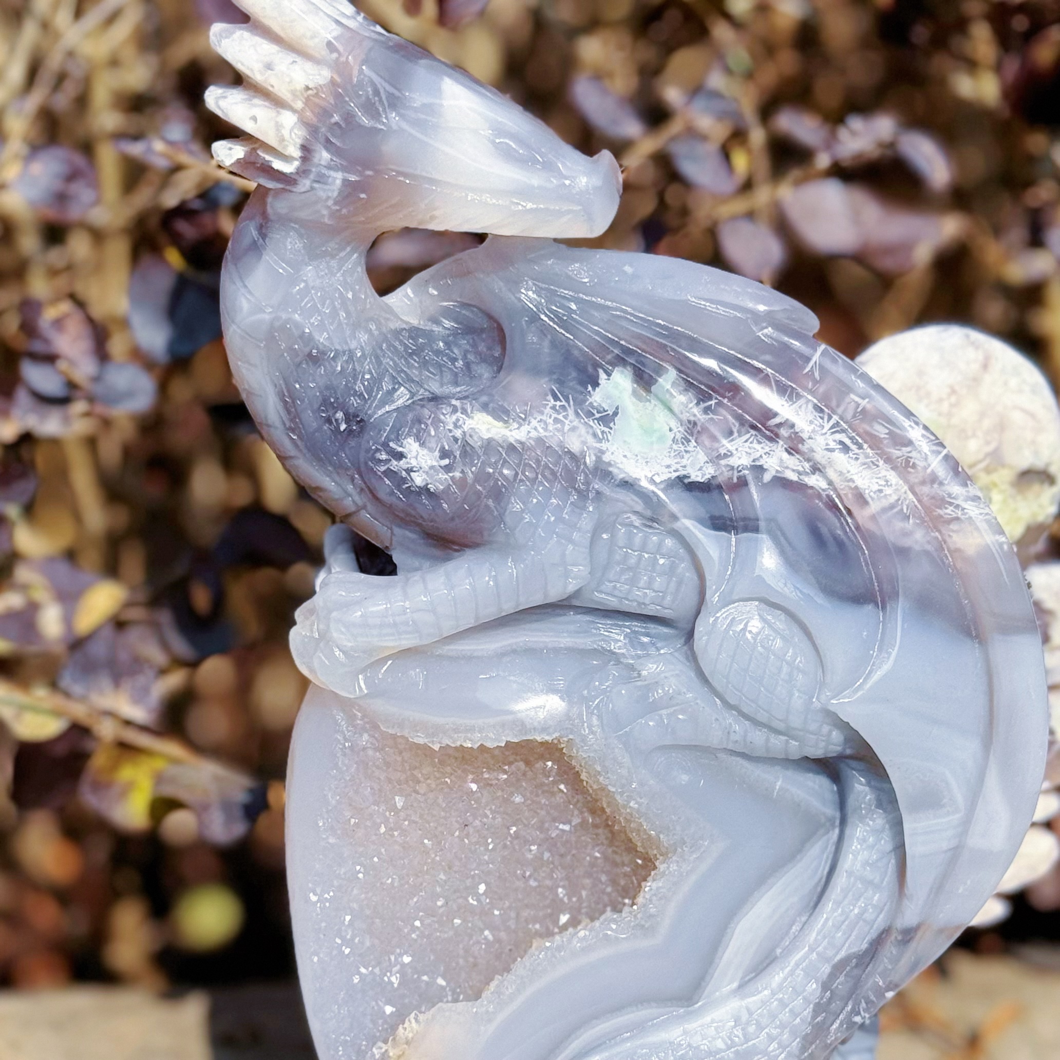 Black Flower Agate Dragon